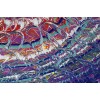 OzdinART™ The Eye of the Universe OzdinART™ The Eye of the Universe